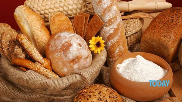 Celiachia, alcune proteine nel glutine hanno un effetto tossico. ASCOLTA