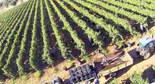 Agricoltura: Più fondi per rinnovo mezzi agricoli.