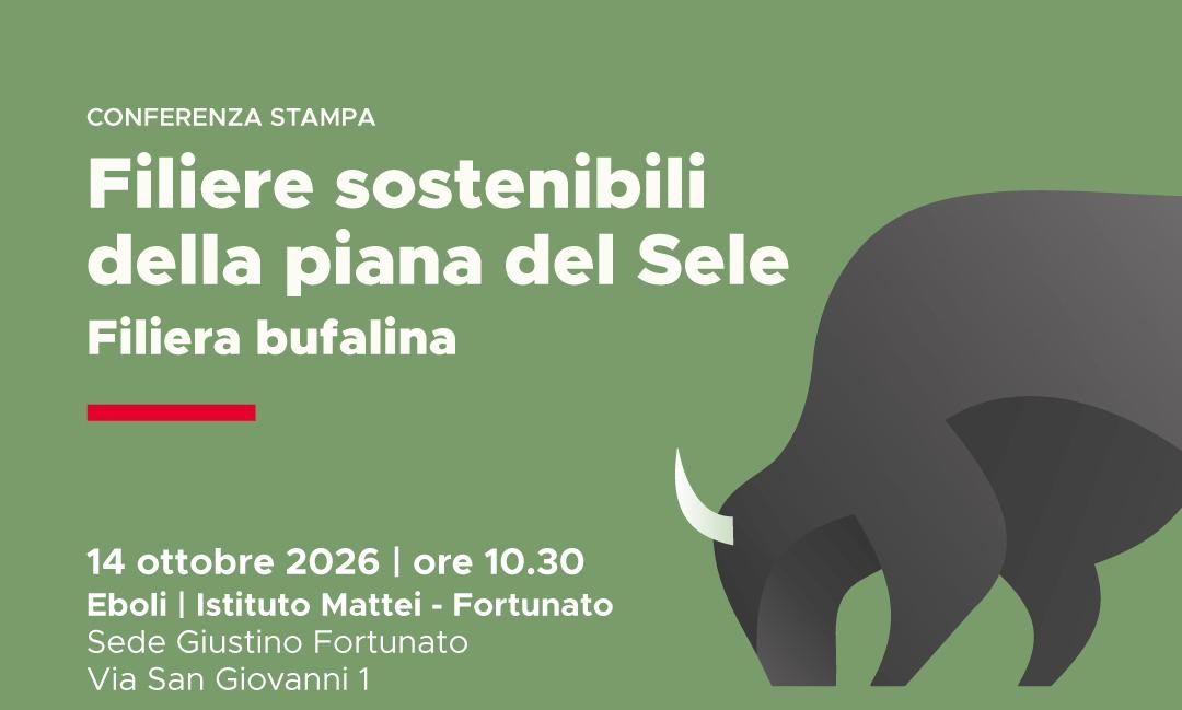 FILIERA BUFALINA E SOSTENIBILITÀ: IL 14 OTTOBRE A EBOLI UN CONFRONTO SUL FUTURO DELLA PIANA DEL SELE