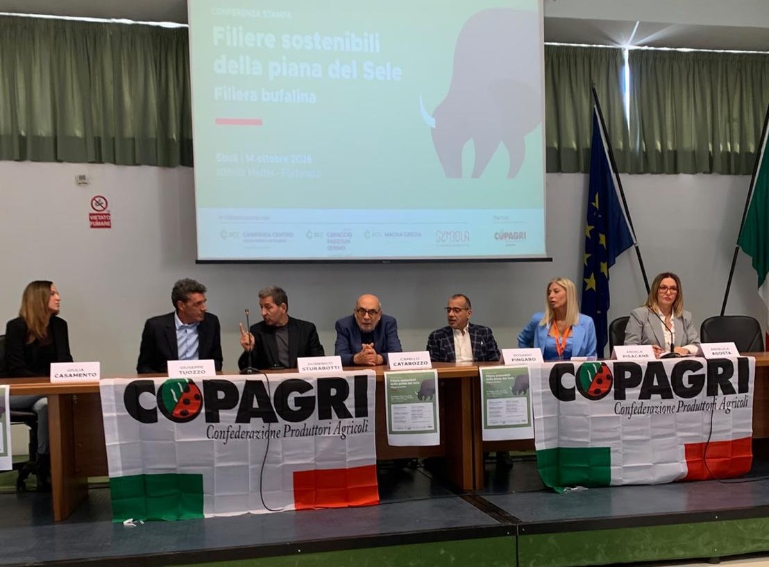 FILIERA BUFALINA, VIA ALLA FASE OPERATIVA: 30 MILIONI A TASSI AGEVOLATI PER INVESTIMENTI GREEN NELLA PIANA DEL SELE